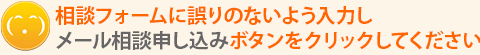 相談フォームに誤りのないよう入力し「メール相談申し込み」ボタンをクリックしてください